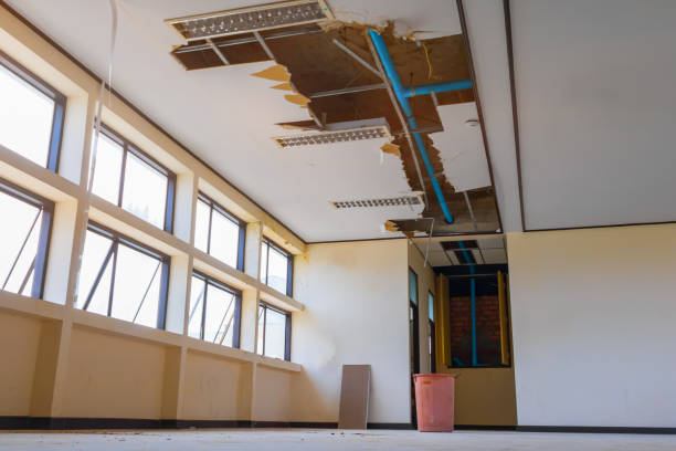 Best Basement water damage restoration  in Wynantskill, NY