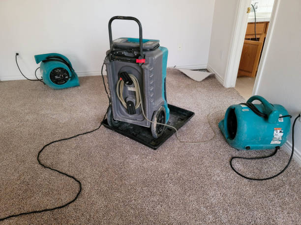  Wynantskill, NY Water damage restoration Pros