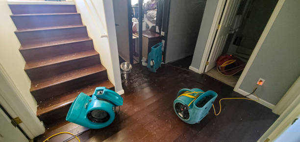 Best Water damage cleanup near me  in Wynantskill, NY