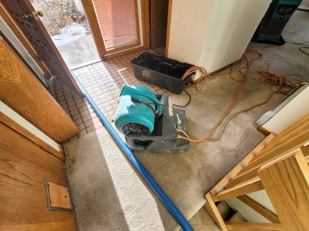 Best Water damage mitigation services  in Wynantskill, NY