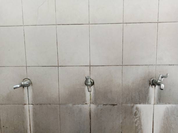 Best Fire Damage Restoration  in Wynantskill, NY