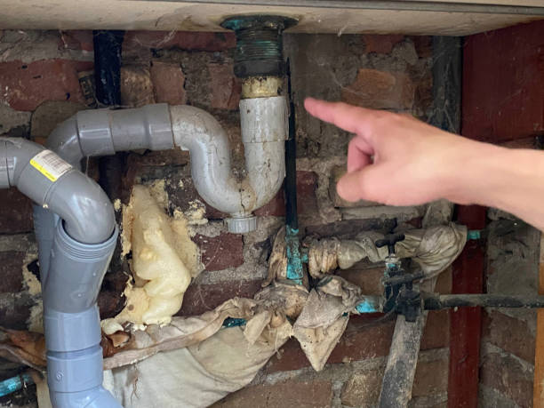 Best Basement water damage restoration  in Wynantskill, NY