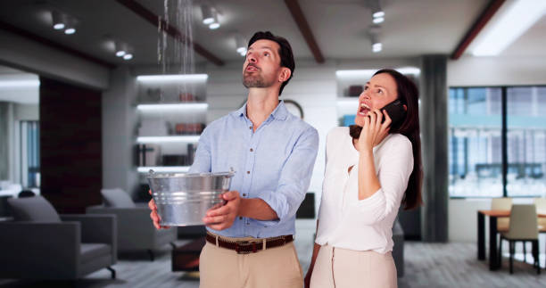 Best Fire Damage Restoration  in Wynantskill, NY